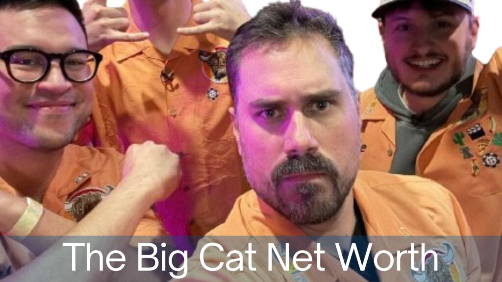 Big Cat Net Worth